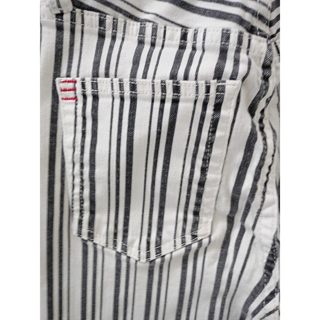 Urban Outfitters BDG Coastal Striped High Rise Straight Cropped Jeans 24