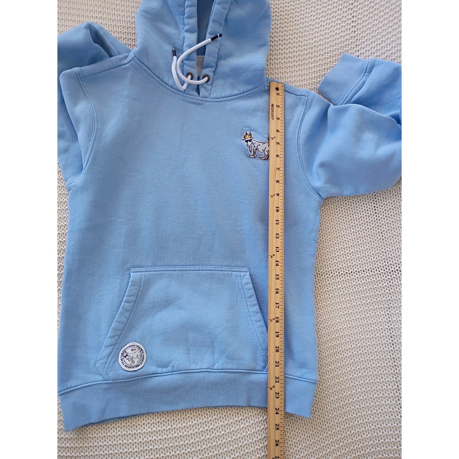 GOAT Light Blue Hoodie Pullover Graphic Print Small Oversized Unisex PTP 20"
