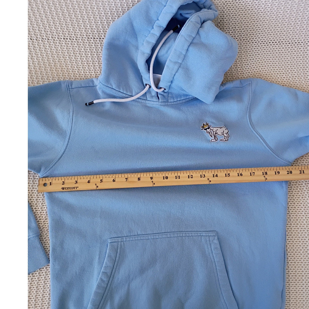 GOAT Light Blue Hoodie Pullover Graphic Print Small Oversized Unisex PTP 20"